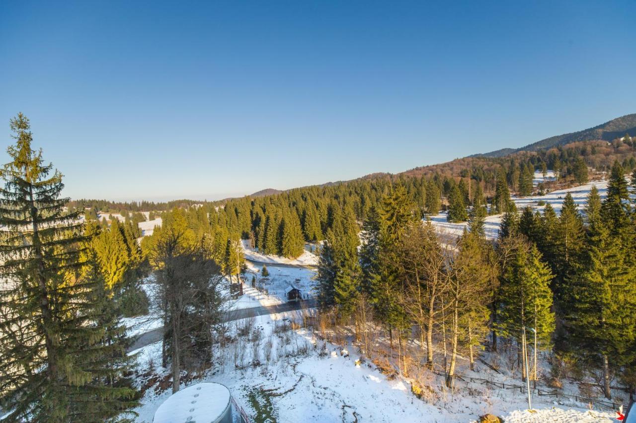 Forest Corner In Silver Mountain Of Poiana Brașov Zewnętrze zdjęcie